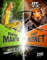 Praying_mantis_vs__Giant_hornet