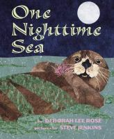 One_nighttime_sea