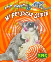 My_pet_sugar_glider