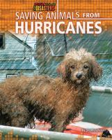 Saving_animals_from_hurricanes