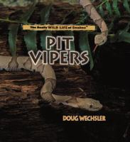 Pit_vipers