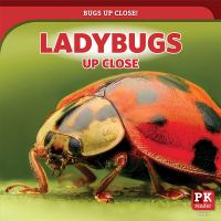 Ladybugs_up_close