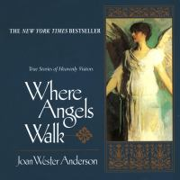 Where_angels_walk