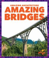 Amazing_bridges