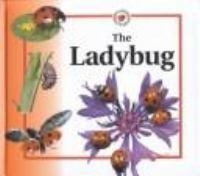 The_ladybug