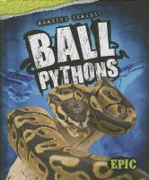 Ball_pythons