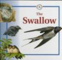 The_swallow
